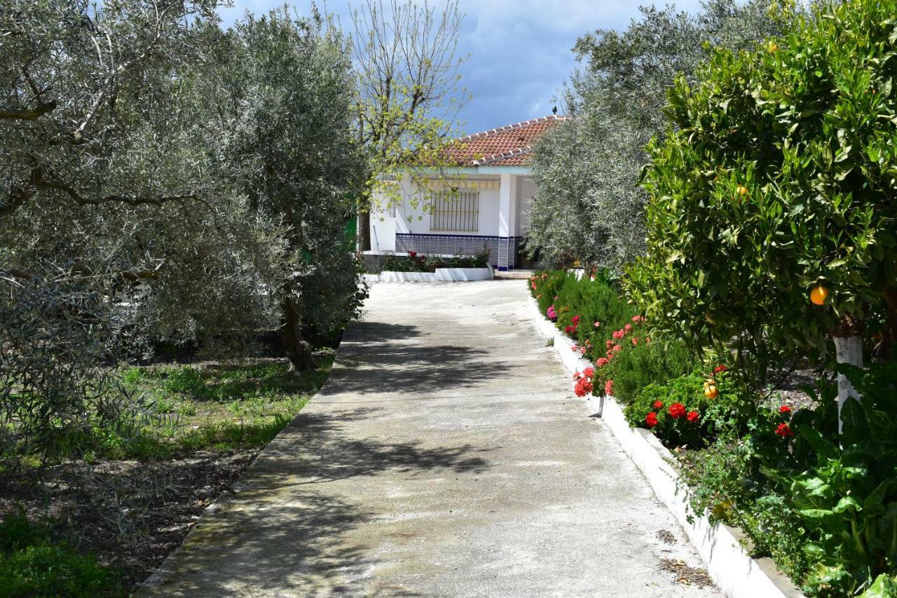 Casa Rural Alejo Malaga Exterior photo